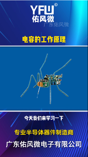 电容的工作原理